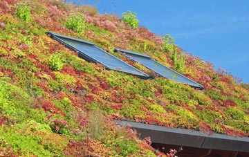 Memsie living roof systems
